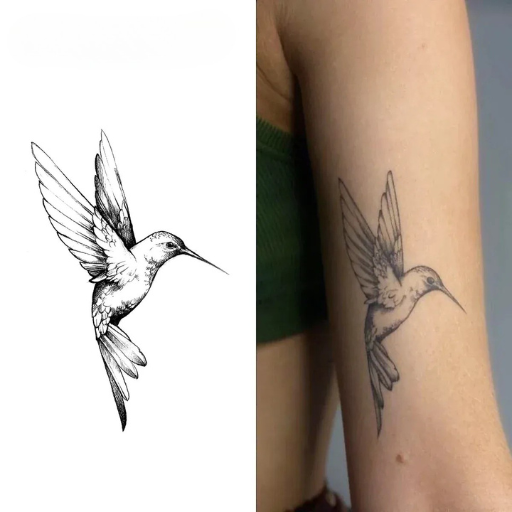 Colibri
